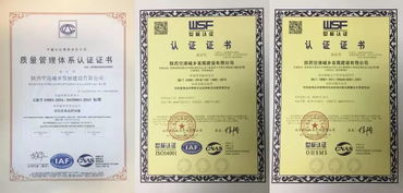 從十大營商熱詞看空港新城發展足跡